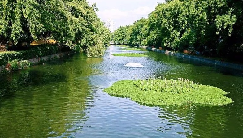 到底什么是生态河道?